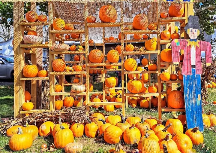 Wesler Orchards & Farm Market