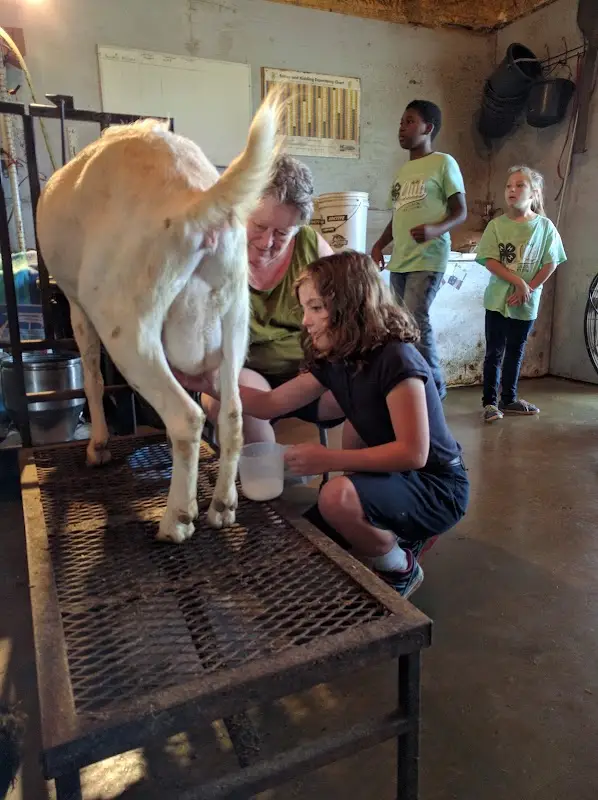 WesMar Farms Market photo 2