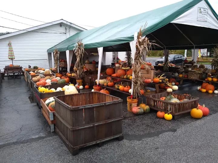 West Orchards photo 2