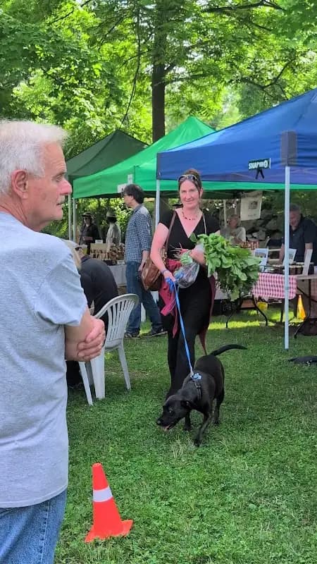 West Stockbridge Farmers Market photo 2