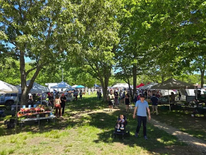 West Tisbury Winter Farmer's Market