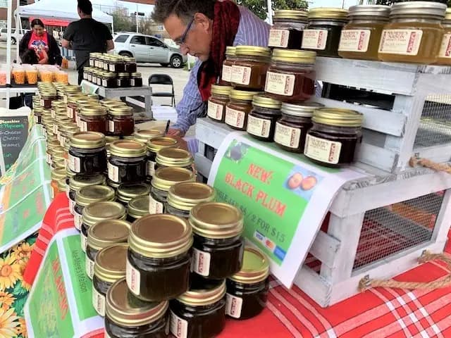 Westchase District Farmers Market photo 2