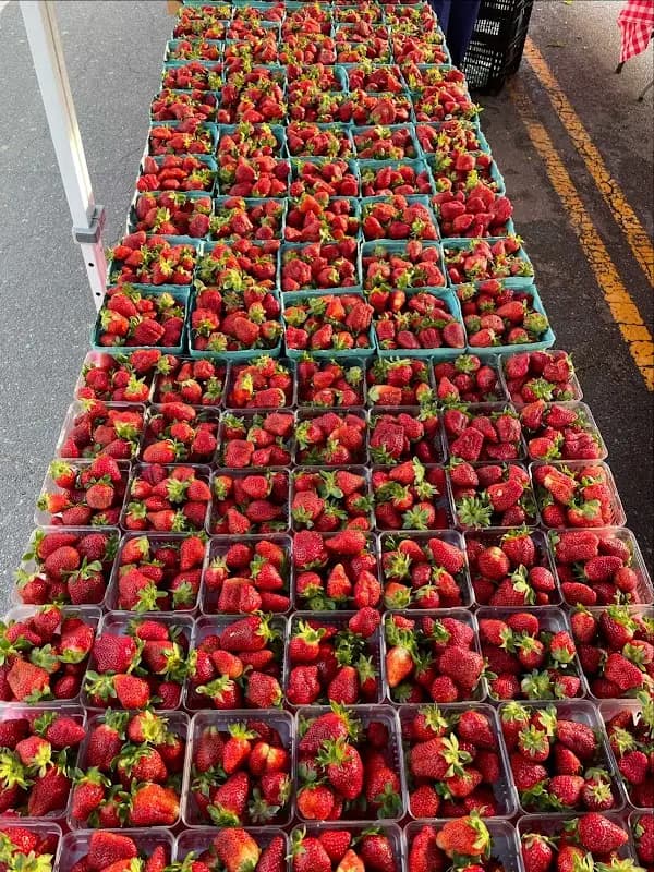 Westover Farmers Market photo 2