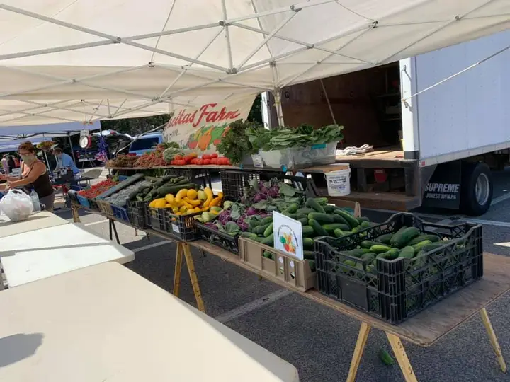 Weymouth Farmer's Market