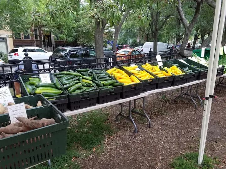 Wicker Park/Bucktown (Chicago) Farmers Market photo 2