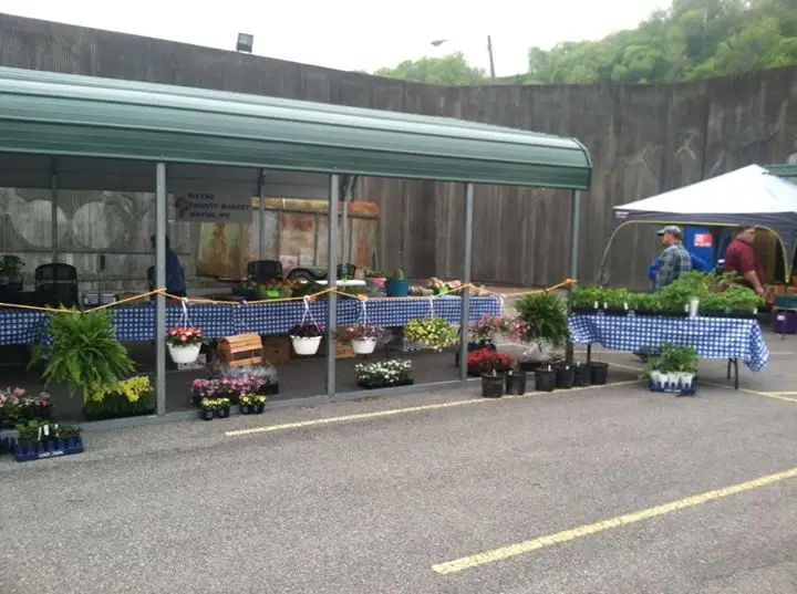 Williamson Farmers Market