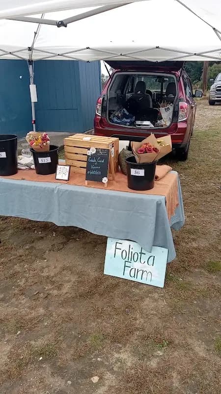 WILLIMANTIC FARMERS’ MARKET photo 2