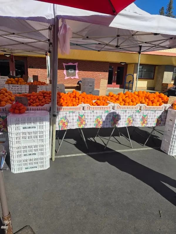 Willow Glen Farmers' Market photo 2