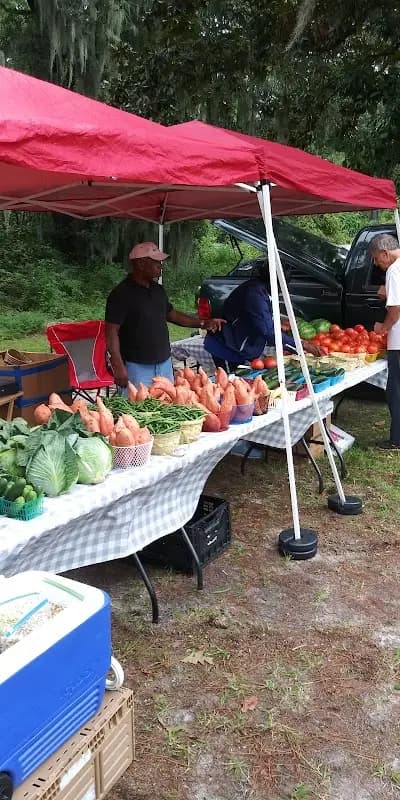 Wilmington Island Farmers' Market photo 2
