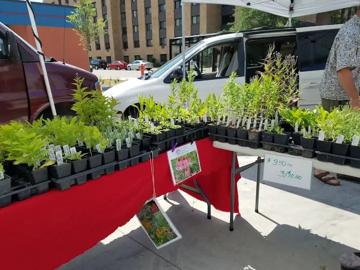 Winona Farmers Market photo 2