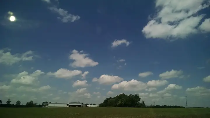 Wiregrass Farmers Market photo 2