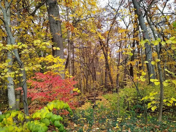 Woodlawn Nature Center Harvest Market photo 2