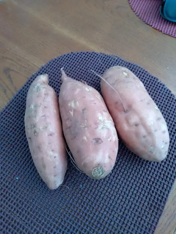 Yadkin Farmers Market photo 2